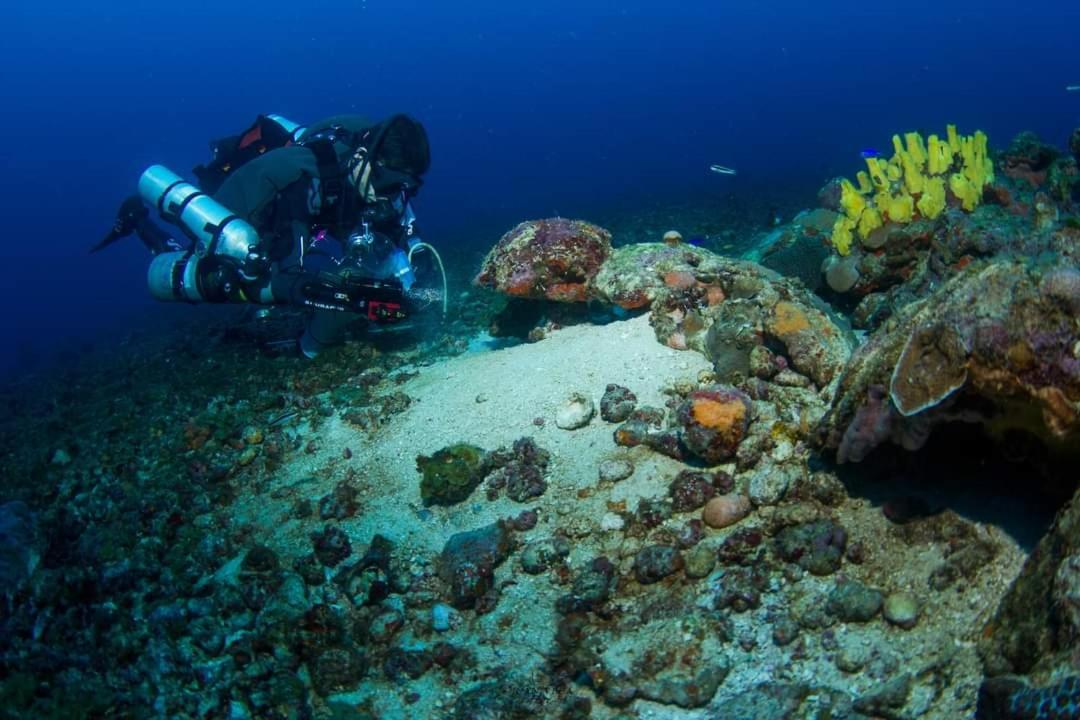 Dive Santa Marta 2* Taganga