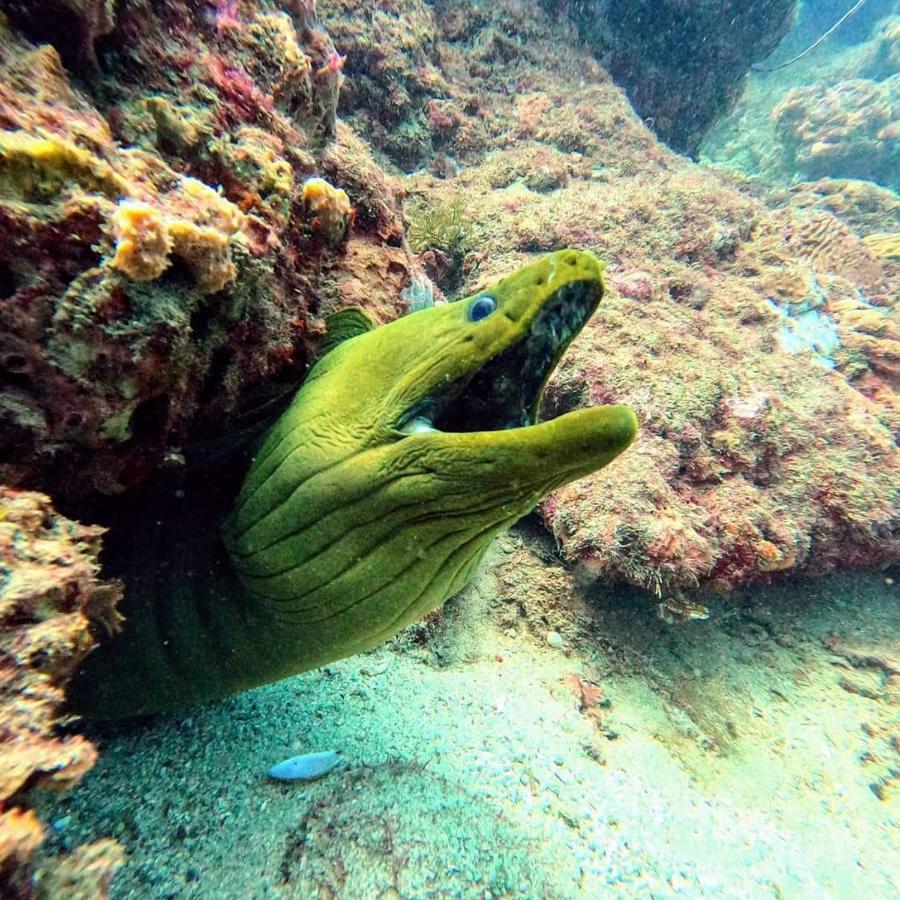 Dive Santa Marta Hotel